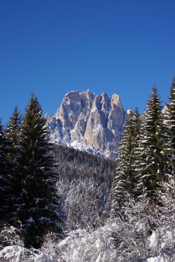 Chalet La Ciaseta Pozza di Fassa Exterior foto